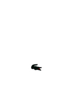 t-shirt Lacoste
